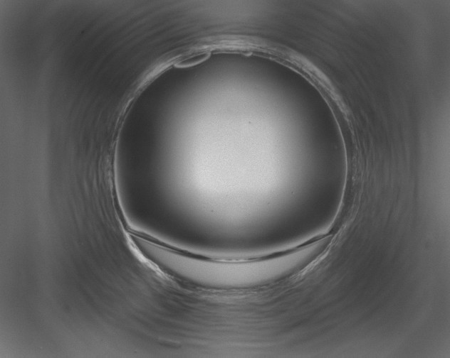 X0000083991433200702232059