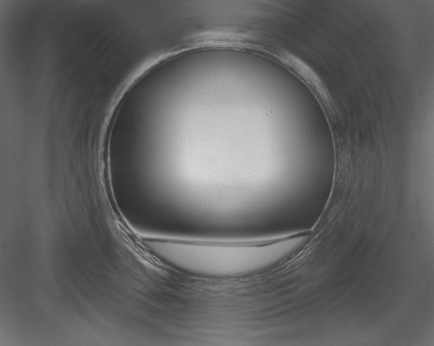 X0000083991435200702232059