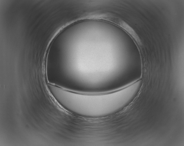 X0000083991436200702232059