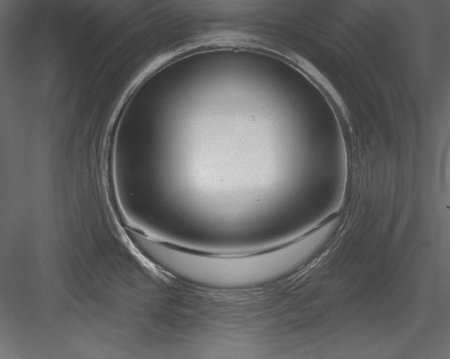 X0000083991437200702232059