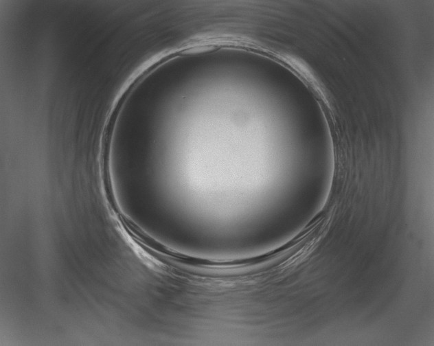 X0000083991438200702232059