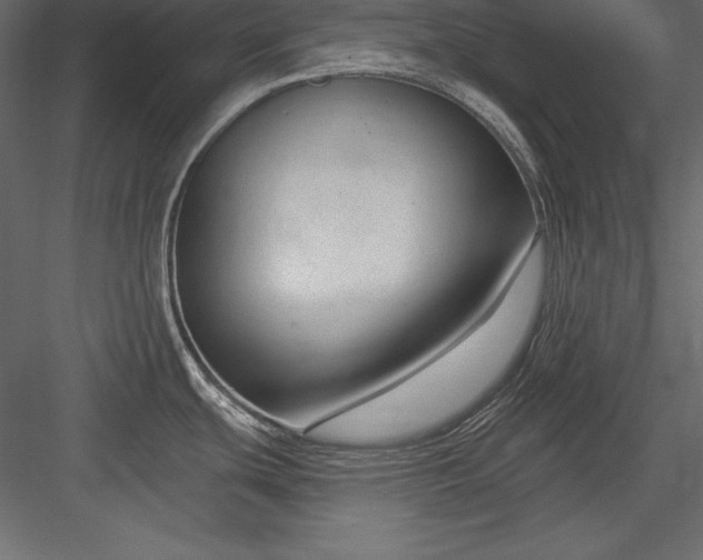 X0000083991439200702232059