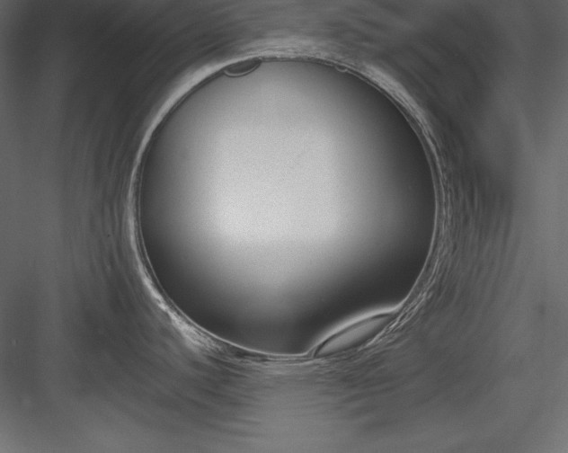 X0000083991440200702232059