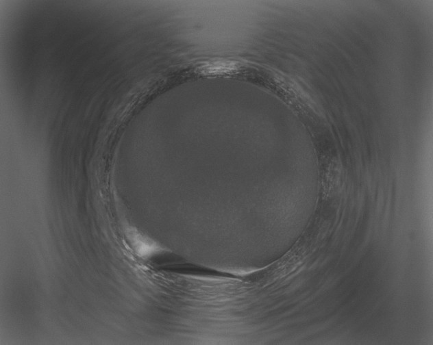 X0000083991441200702232058