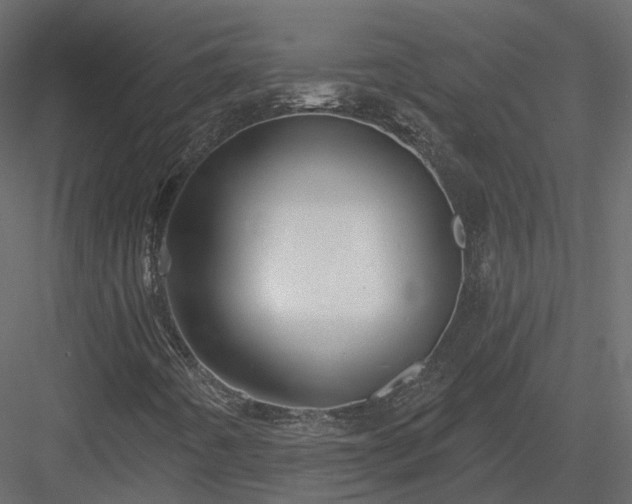 X0000083991442200702232058