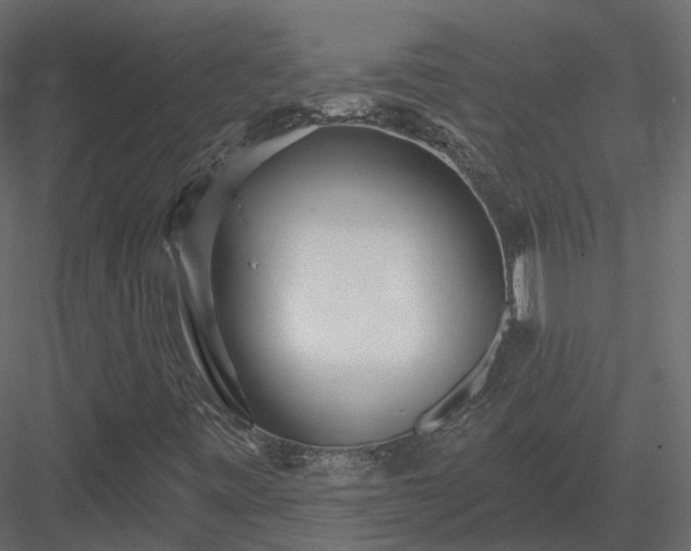 X0000083991443200702232058