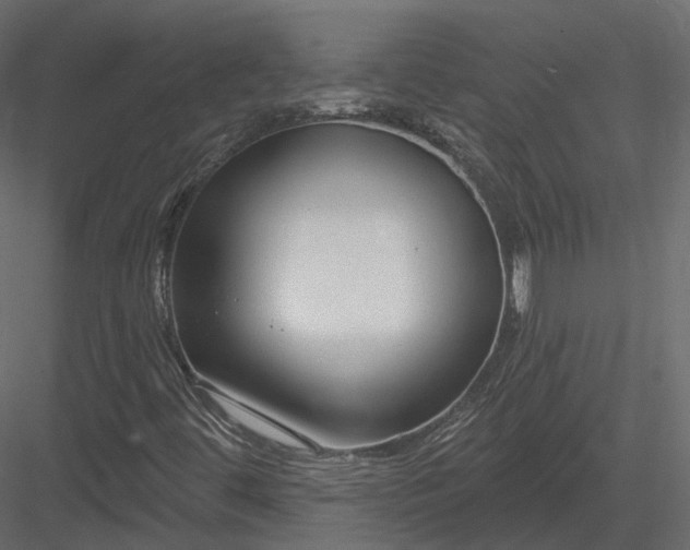 X0000083991444200702232058