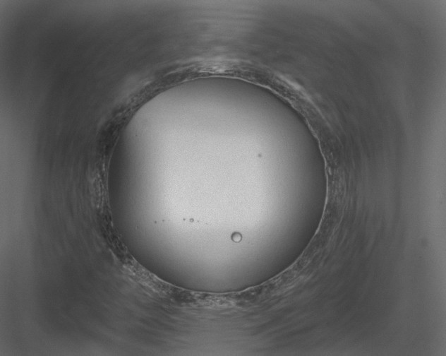 X0000083991446200702232058