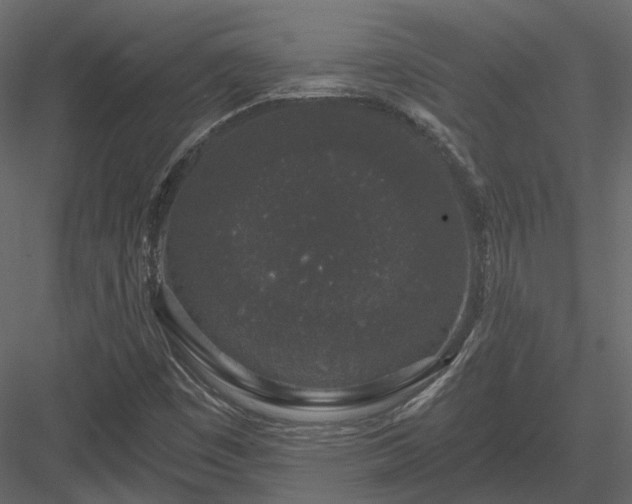 X0000083991449200702232058