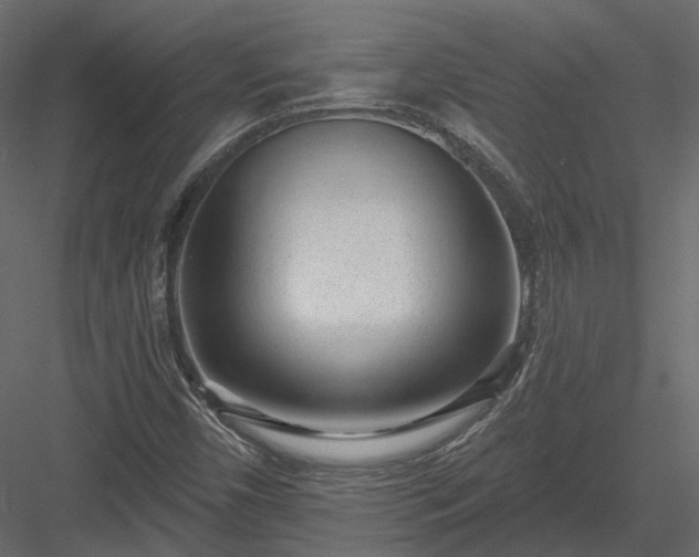 X0000083991450200702232058