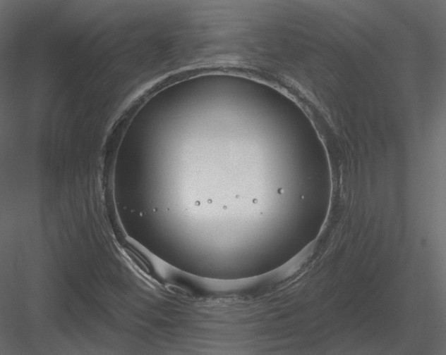 X0000083991452200702232058