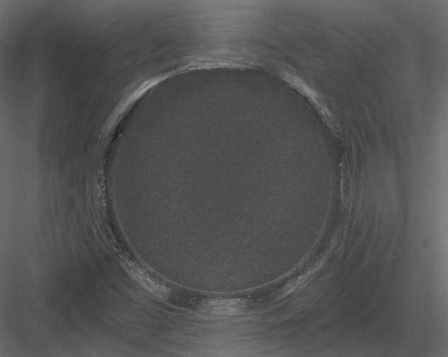 X0000083991453200702232058