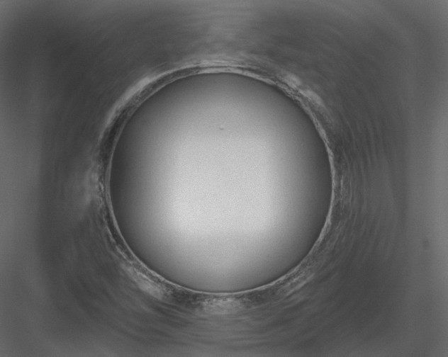 X0000083991454200702232058