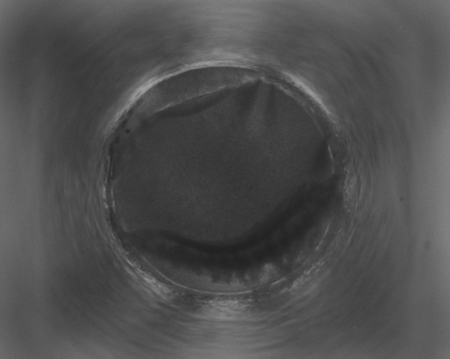 X0000083991455200702232058