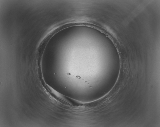 X0000083991456200702232058