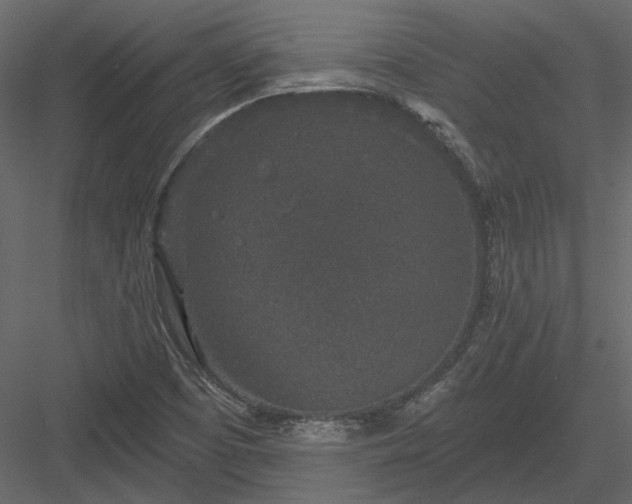 X0000083991457200702232058