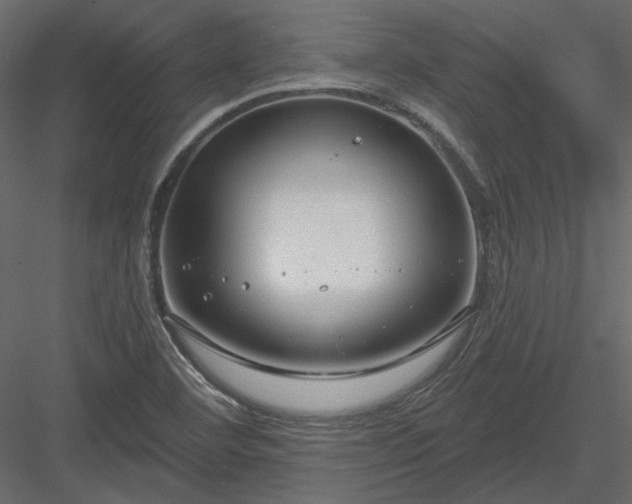 X0000083991460200702232058