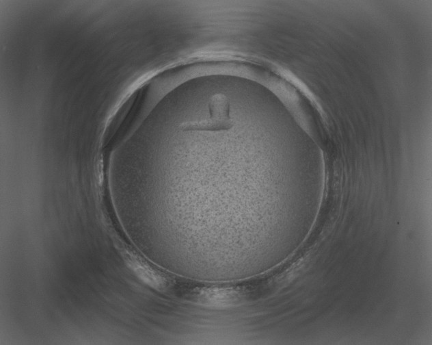 X0000083991461200702232058