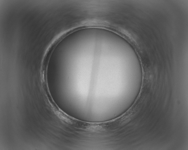 X0000083991462200702232058