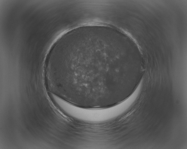 X0000083991463200702232058