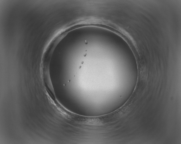 X0000083991464200702232058