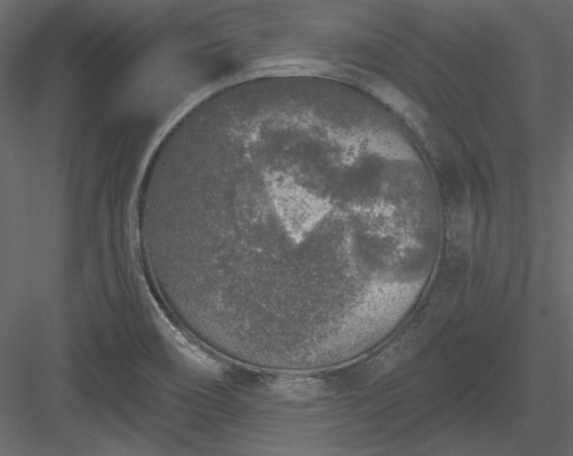 X0000083991466200702232058