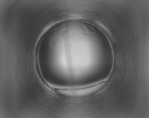 X0000083991467200702232058