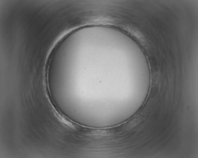 X0000083991470200702232058