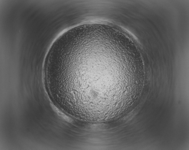 X0000083991471200702232058