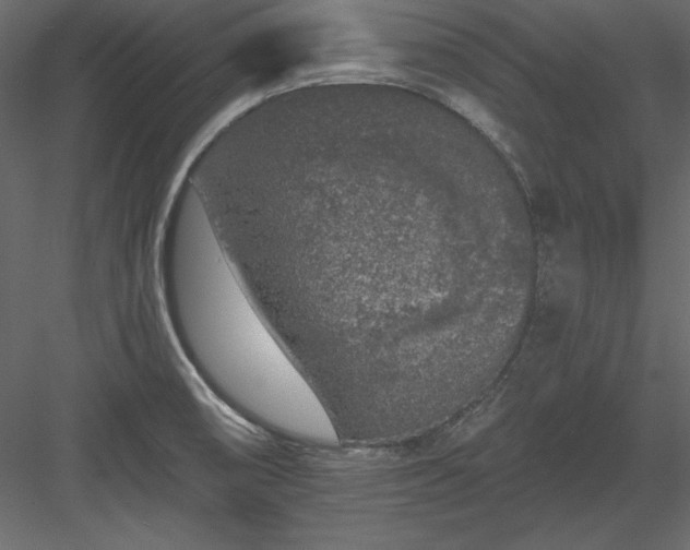 X0000083991474200702232058