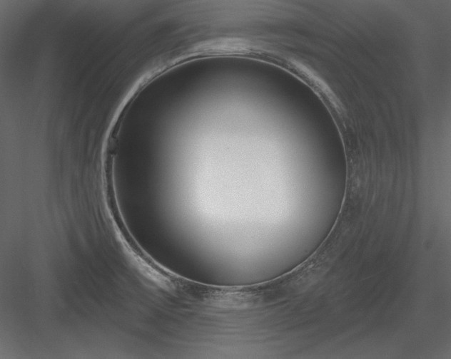 X0000083991475200702232058