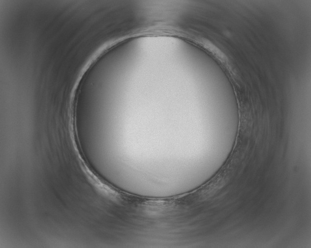 X0000083991478200702232058