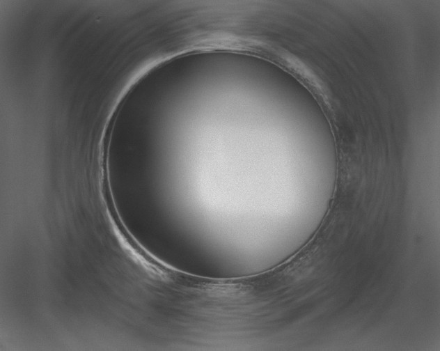 X0000083991479200702232058