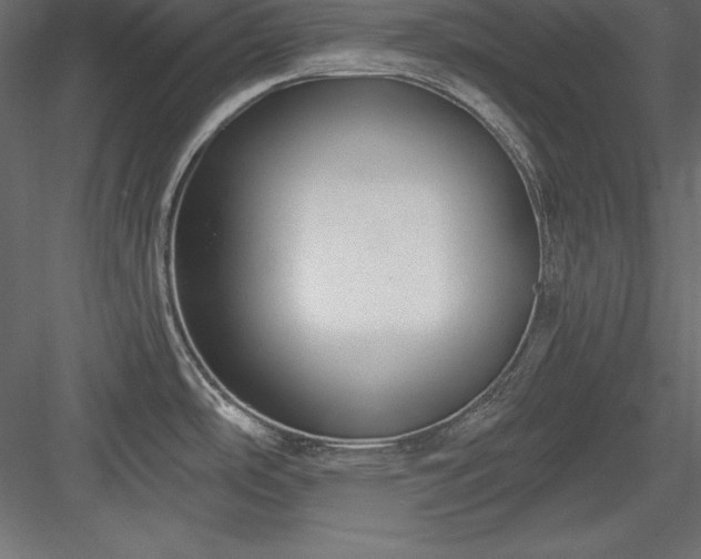 X0000083991486200702232058