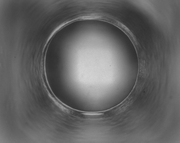 X0000083991487200702232058