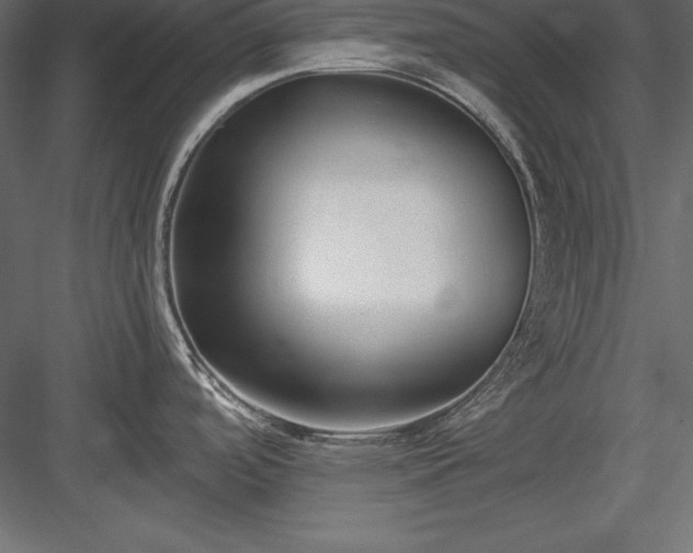 X0000083991488200702232058