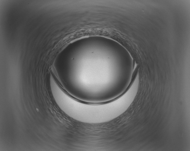 X0000083991489200702232057