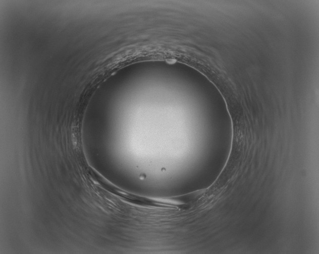 X0000083991490200702232057