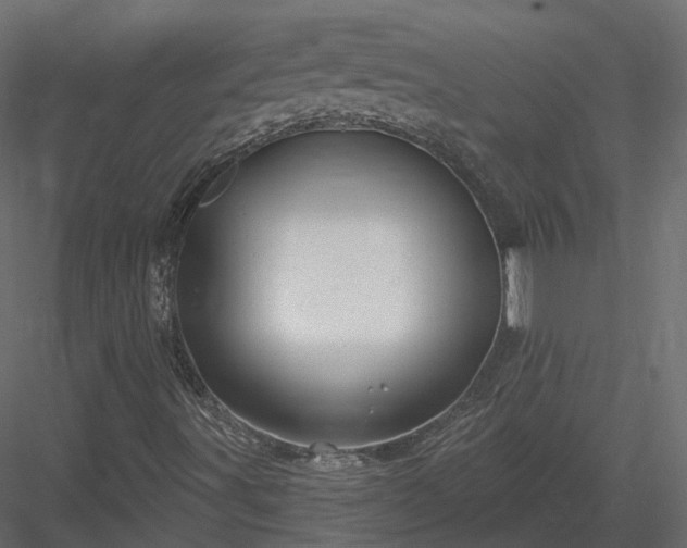 X0000083991491200702232057