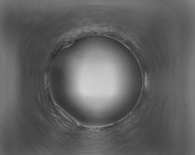 X0000083991492200702232057