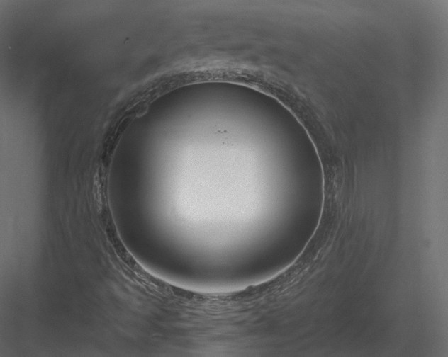 X0000083991493200702232057