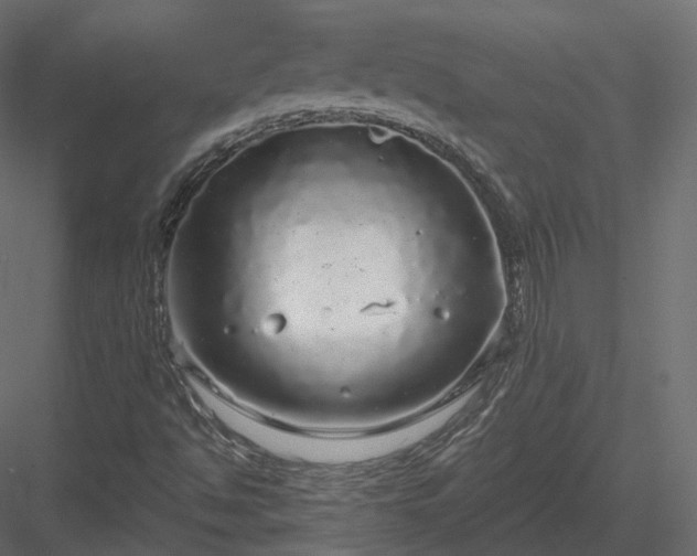 X0000083991494200702232057