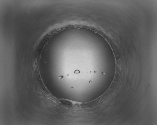 X0000083991495200702232057