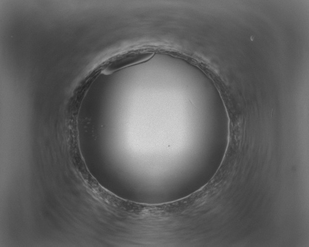 X0000083991496200702232057