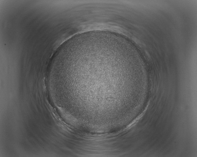 X0000083991497200702232057