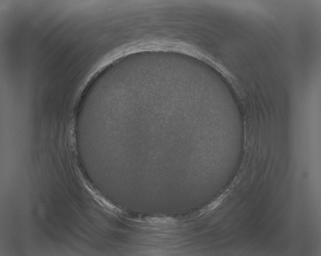 X0000083991498200702232057