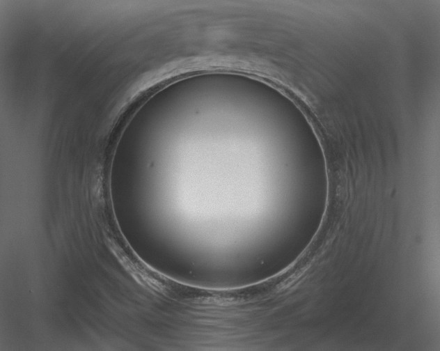 X0000083991499200702232057