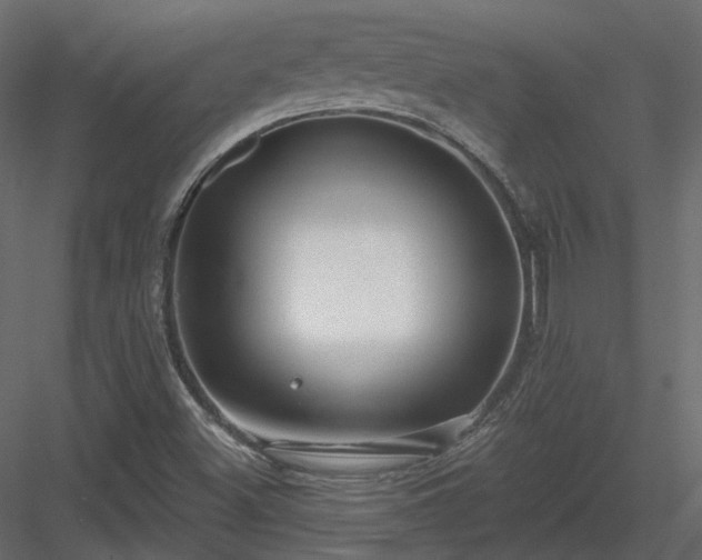 X0000083991500200702232057