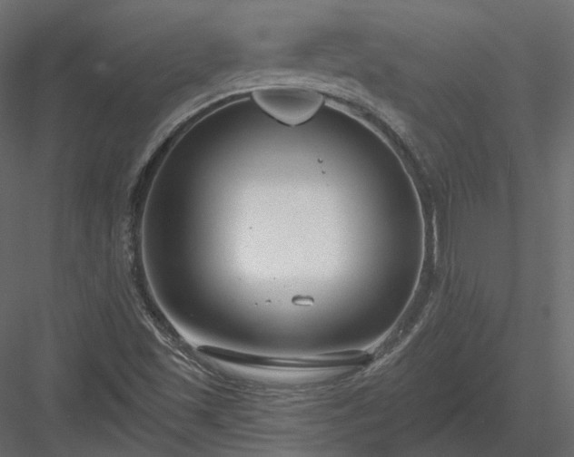 X0000083991501200702232057