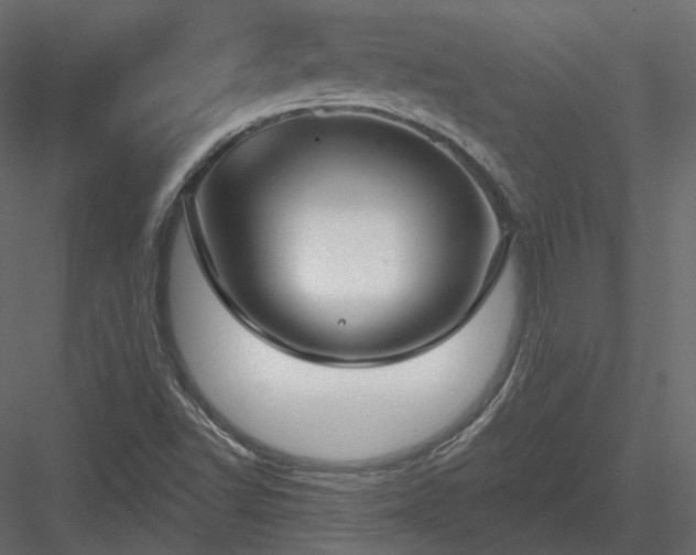 X0000083991502200702232057